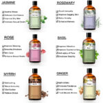 Pure Plant Extract 100ml Essential Oils.png