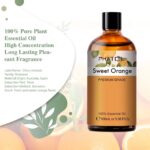 Pure Plant Extract 100ml Essential Oils.png
